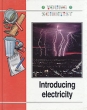 Introducing Electricity Серия: Young Scientist инфо 4788t.
